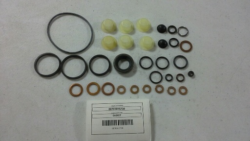 [GASKET] 00701815739