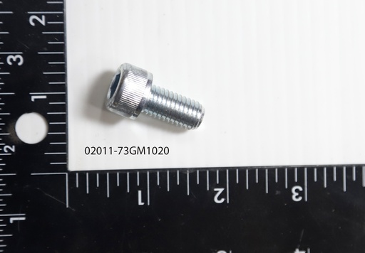 [Bolt, SHCS, M10-1.5 x 20mm, YZ] 02011-73GM1020