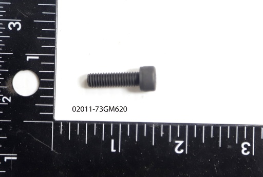 [Bolt, SHCS, M6-1.0 x 20mm, YZ] 02011-73GM620